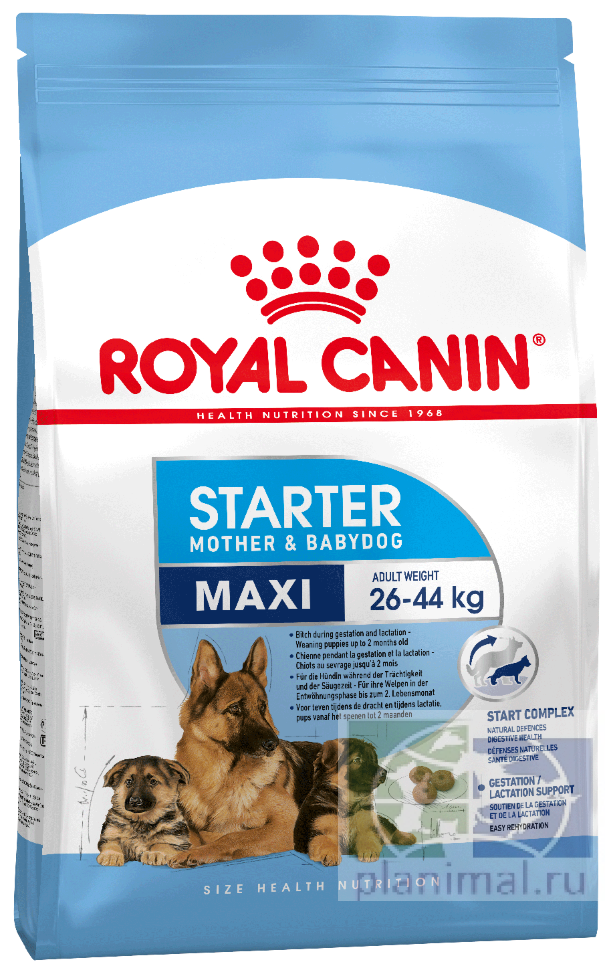 RC Maxi Starter корм для собак крупных размеров (вес взрослой собаки от 25 до 45 кг) в конце беременности и в период лактации, а также для щенков в возрасте до 2 месяцев, 4 кг