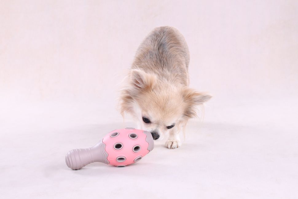 Flamingo: Игрушка для щенков Toy Puppy Benty Cone Pink Гибкий конус для лакомств, 15,3 х 6,6 х 6,6 см, розовый, резина, 523706