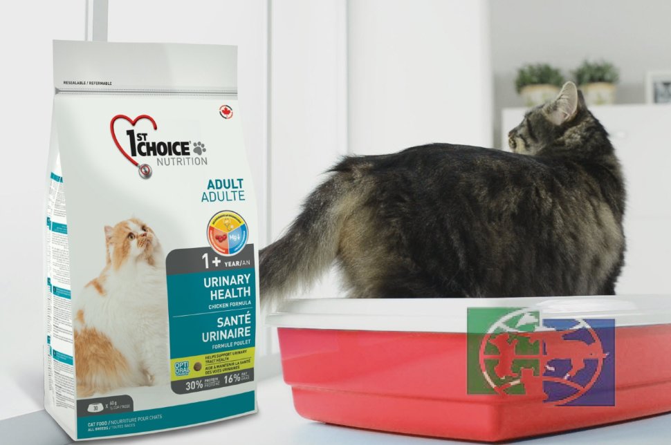 1st Choice Urinary сухой корм для профилактики мочекаменной болезни для кошек, 340 гр.