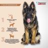 Экопром: Inspector Quadro K, капли на холку, для собак 40-60 кг, комплексные, 1 пипетка