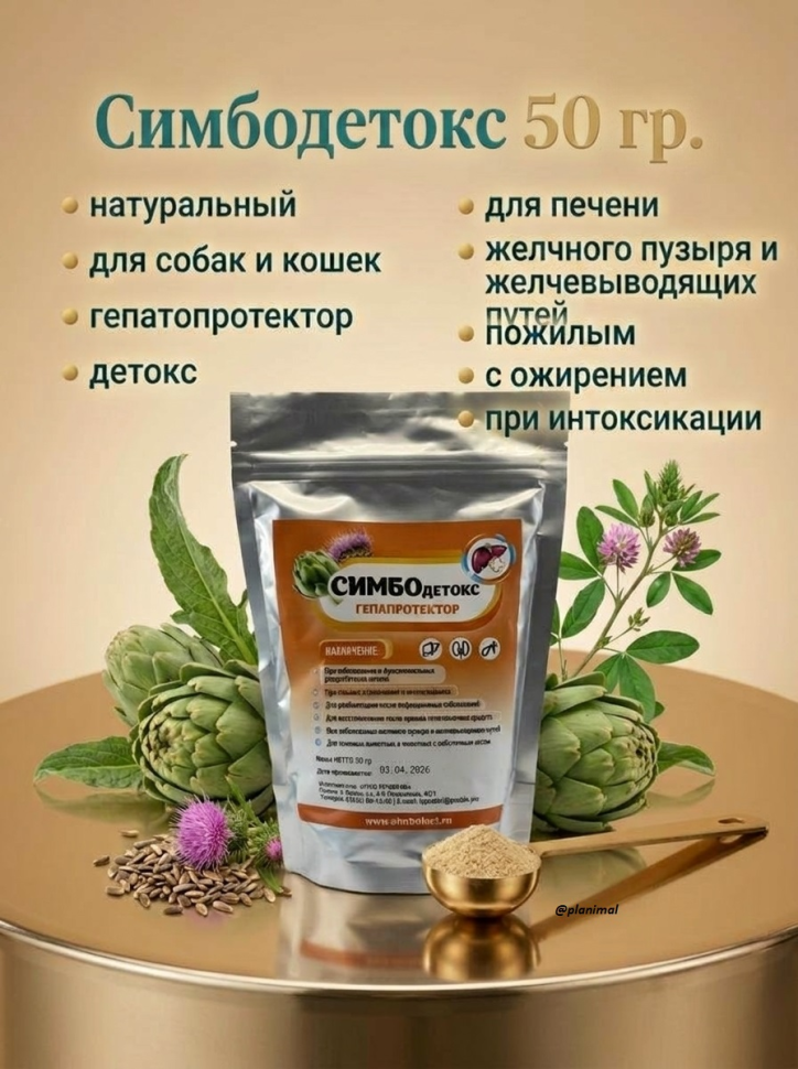 СИМБОдетокс, гепатопротектор, 50 гр.