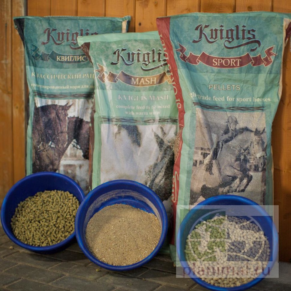 Kviglis Daily Diet безовсовый корм в виде мэша для лошадей, 20 кг