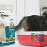 1st Choice Urinary сухой корм для профилактики мочекаменной болезни для кошек, 1,8 кг