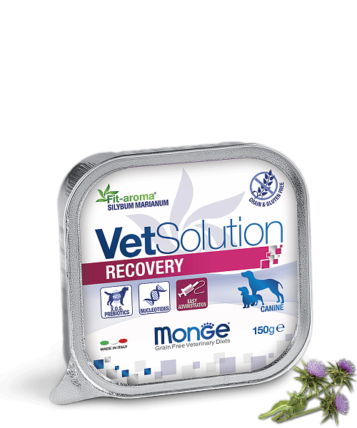 Monge VetSolution Dog Recovery влажная диета для собак Рекавери 150 гр.