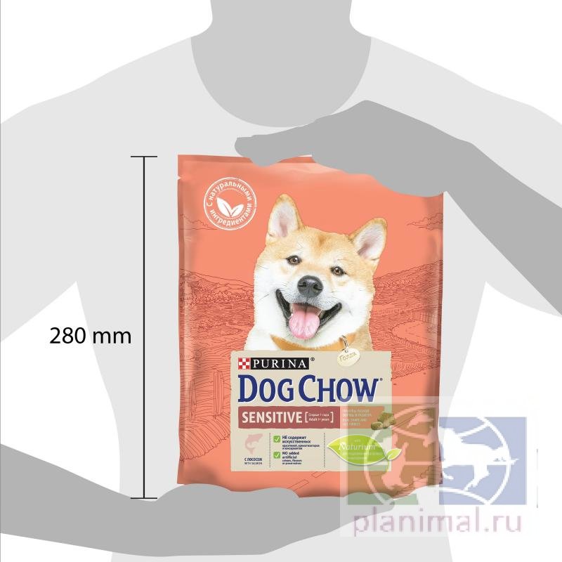 Сухой корм Purina Dog Chow Sensitive для взрослых собак с чувствительным пищеварением, лосось, пакет, 800 гр.