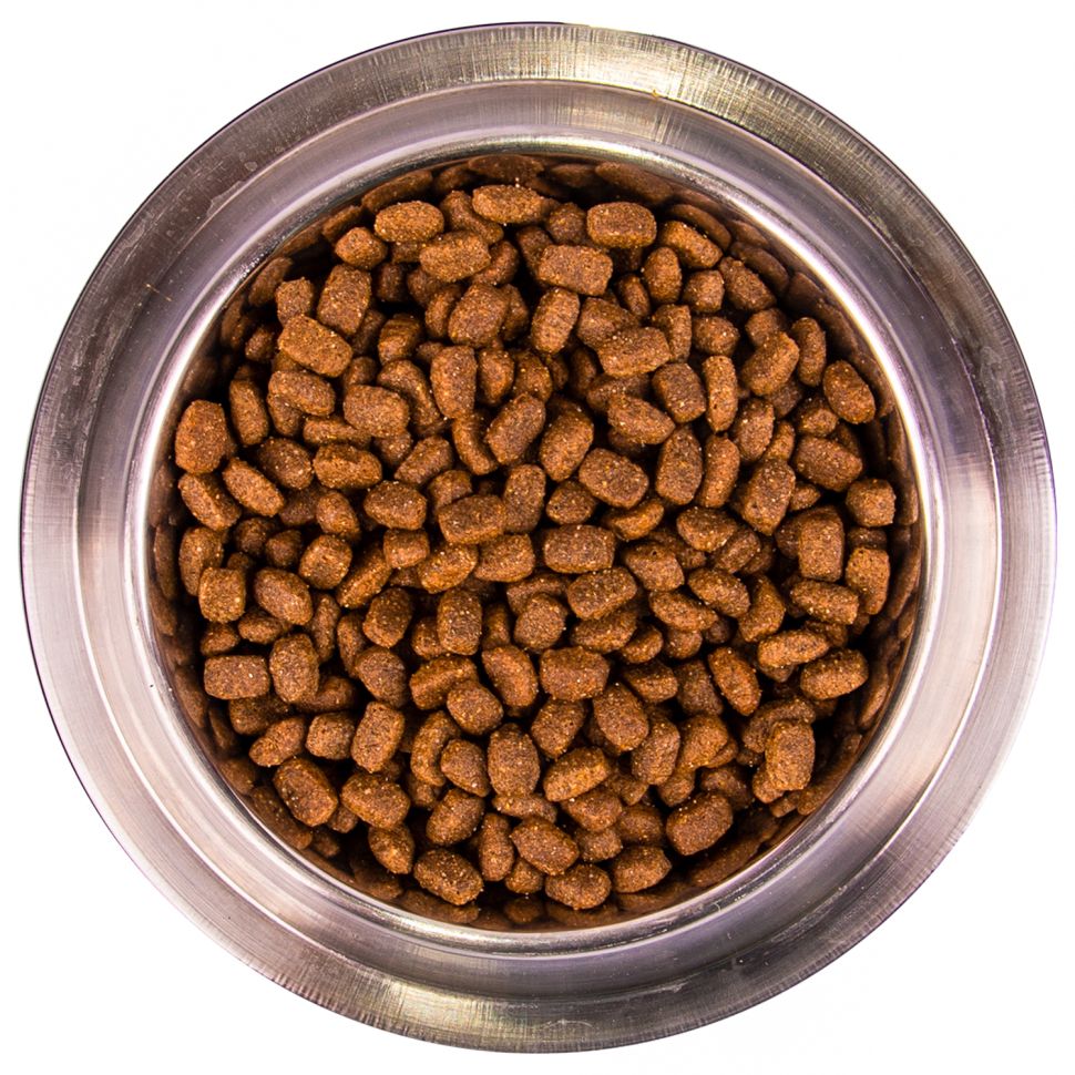 Monge: Dog Mini, корм для взрослых собак мелких пород, 800 гр.