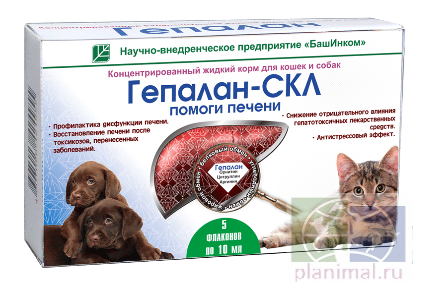 БашИнком: Гепалан СКЛ жидкий корм для домашних животных с гепатопротекторным действием, 5ф*10 мл/уп., цена за  1 флакон=10 мл