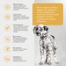Brit: Care Dog Puppy&Junior M Healthy Growth, Сухой корм с индейкой и уткой, для щенков средних пород, 1,5 кг