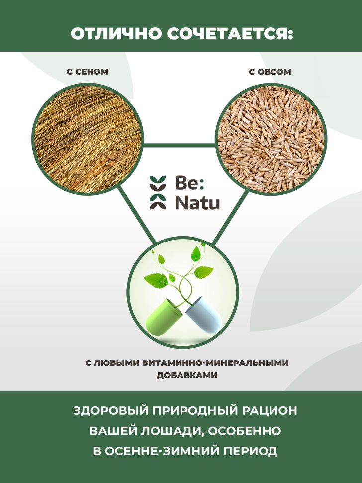 Be:Natu Чудо каша быстрого приготовления для спортивных лошадей, 20 кг