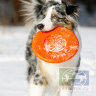 Т5-Zoo: Тарелка летающая большая Doglike оранжевая, D=24 см для собак