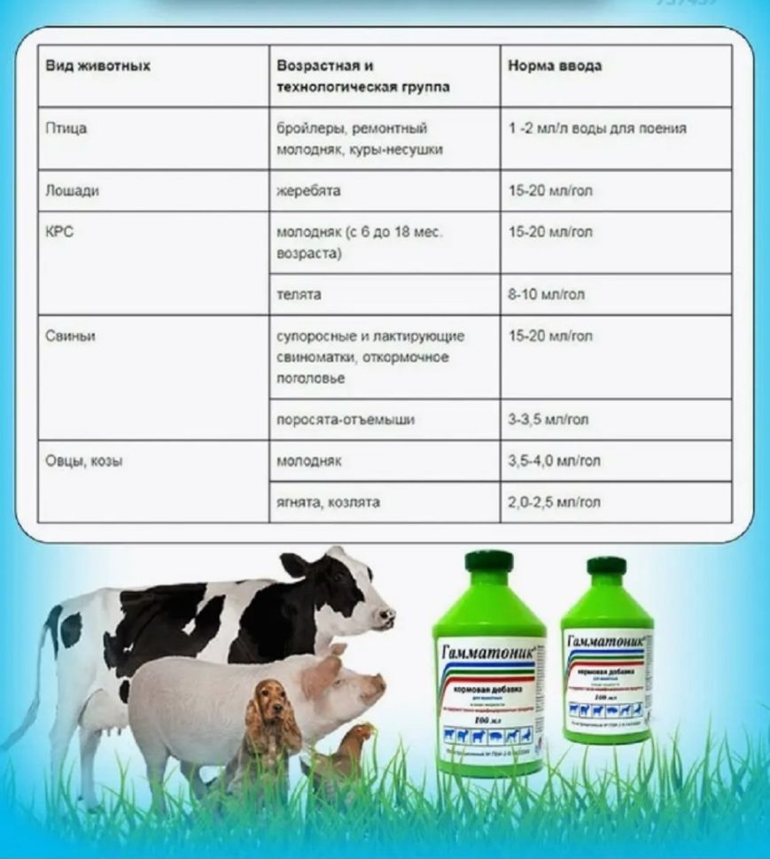 Гамматоник, кормовая добавка для обмена веществ, 100 мл