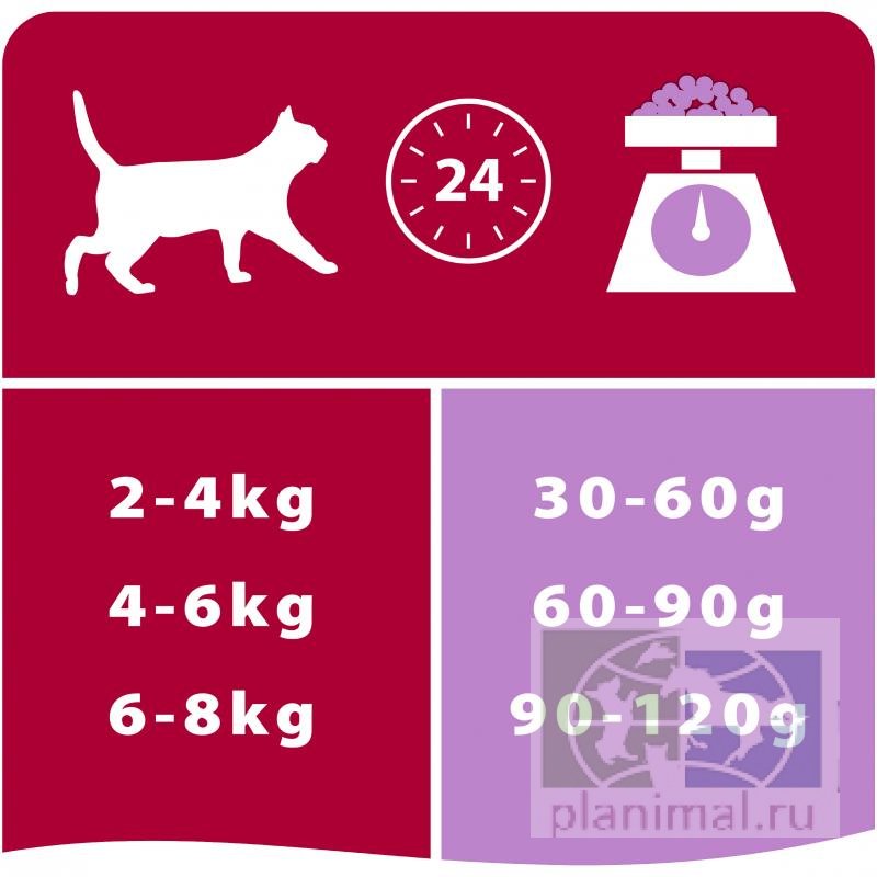 Сухой корм Purina Pro Plan Delicate для кошек с чувствительным пищеварением, ягненок, 7 кг