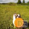 Т5-Zoo: Тарелка летающая малая Doglike оранжевая, D=17 см для собак