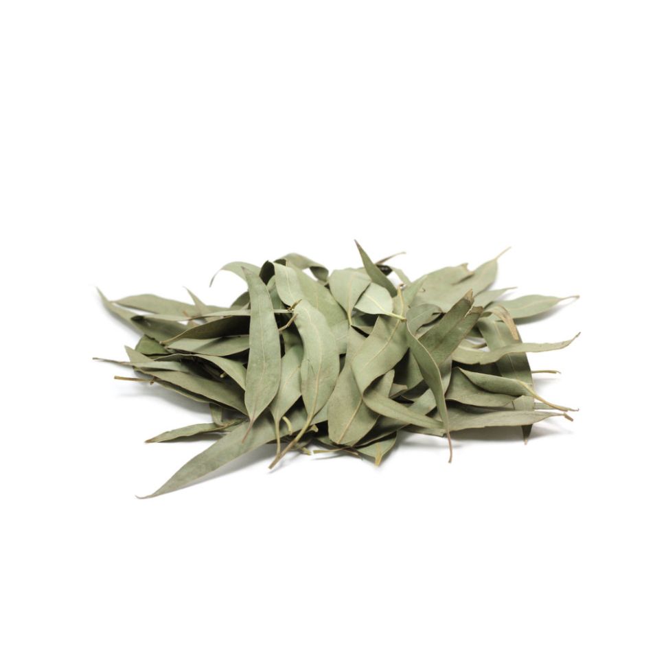 ТМ-Корма: Листья эвкалипта прутовидного, 1,4 кг