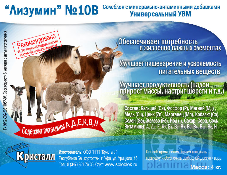 Кристалл: Солеблок "Лизумин" № 10В с минерально-витаминными добавками универсальный для всех животных, 4 кг