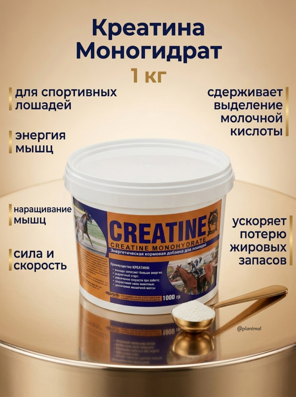 Идальго: Креатина Моногидрат, 1 кг