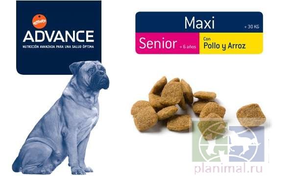 Advance корм для пожилых собак крупных пород с курицей и рисом Maxi Senior, 14 кг