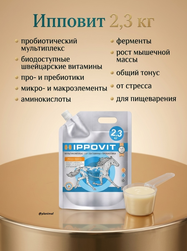 Пробио: Ипповит,  пробиотический мультикомплекс с витаминами для лошадей 2,3 кг
