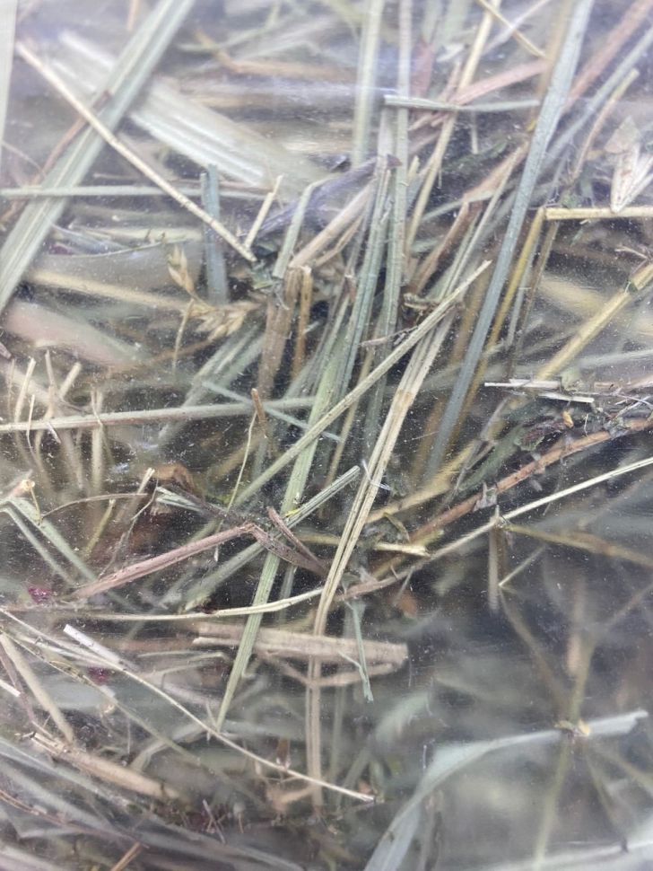 Сено "Фермер" лесное  с ромашкой, 500 гр.