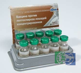 Вакцина против лептоспироза лошадей концентрированная в виде жидкости (инакт.) ГОА, 1 доза/фл. 2 мл