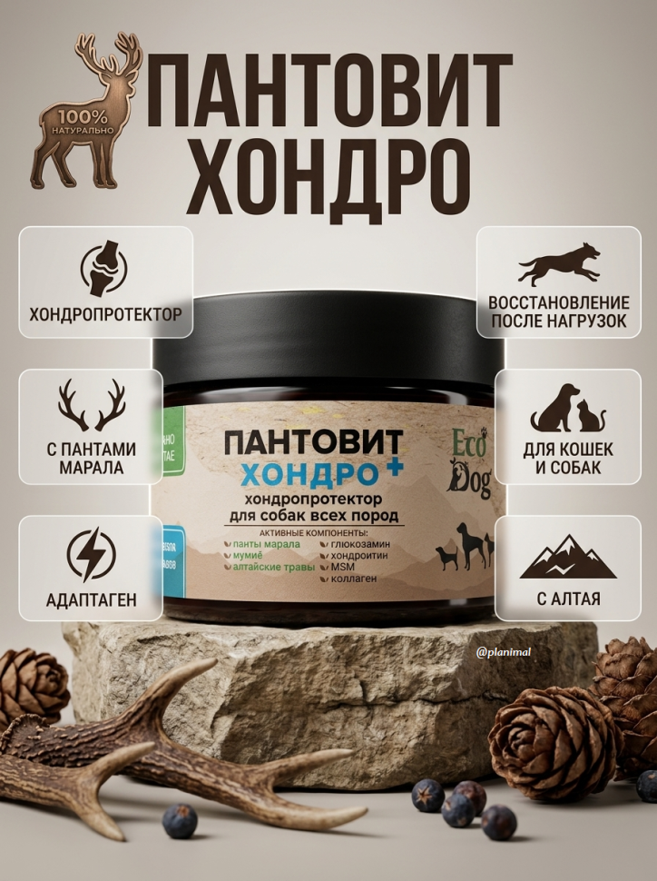 Идальго: ЭкоДог Пантовит хондро + , хондропротектор для собак и кошек с пантами марала, 150 гр.