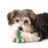 Petstages: игрушка "Хрустящая косточка" резиновая, очень маленькая, для собак, 8 см 