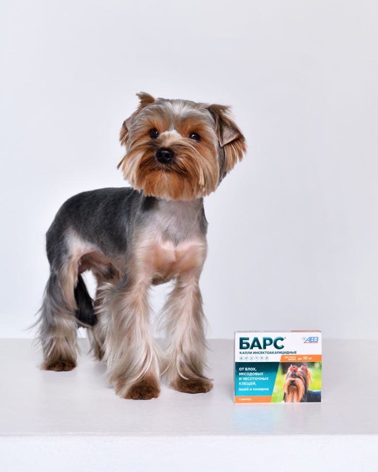АВЗ: БАРС капли инсектоакарицидные для собак до 10 кг (1 пип. по 0,67 мл)