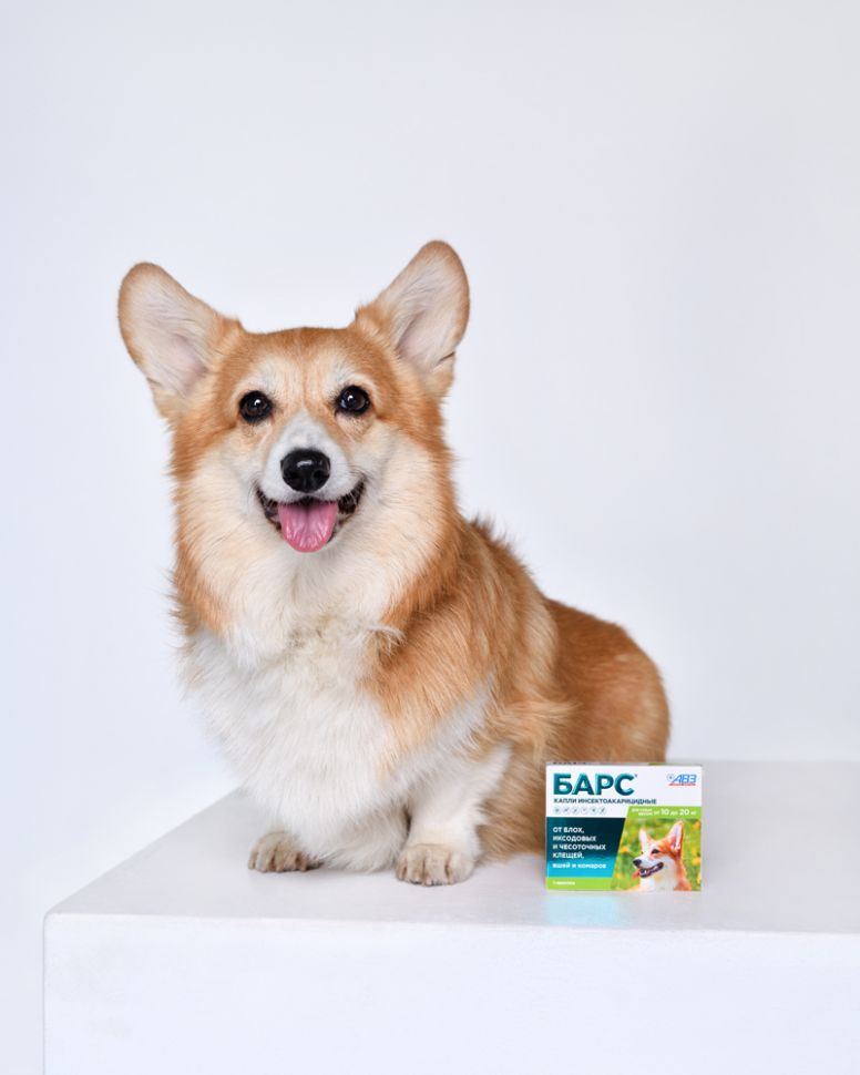 АВЗ: БАРС капли инсектоакарицидные для собак от 10 до 20 кг (1 пип. по 1,34 мл)