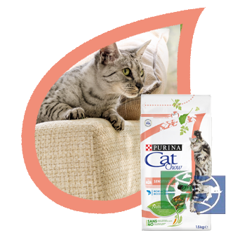 Сухой корм Purina Cat Chow Sensitive для взрослых кошек с чувствительным пищеварением, птица и лосось, 400 гр.
