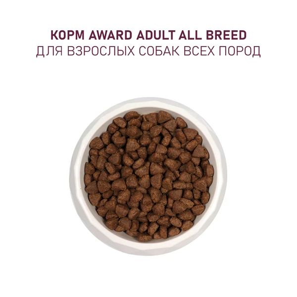 AWARD: корм для взрослых собак, с ягненком и индейкой, с добавлением яблока и черники, 2 кг