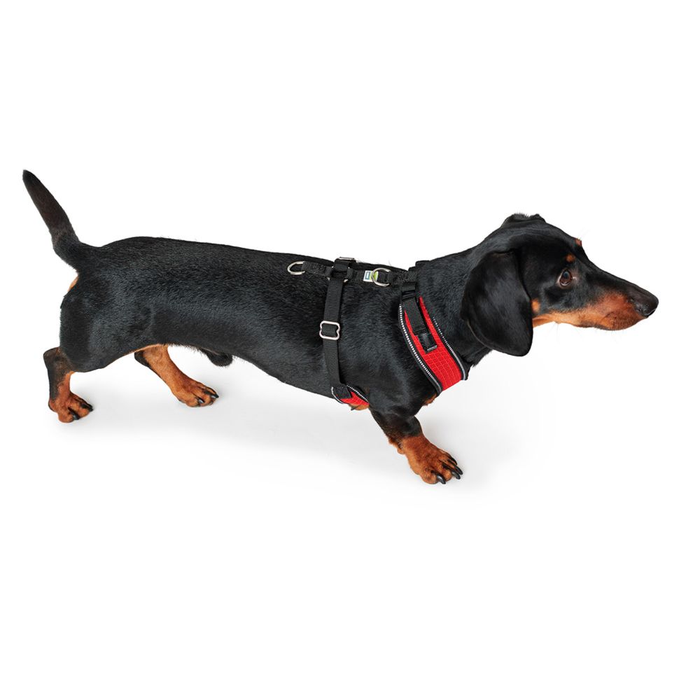 Hunter: шлейка для собак, Manoa XS (35-41 см) нейлон, сетчатый текстиль, красный