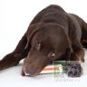 Petstages игрушка для собак Beyond Bone с ароматом косточки 14 см средняя