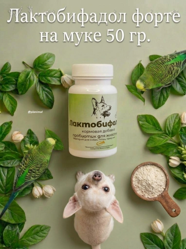 Компонент: Лактобифадол форте на муке для собак, птиц, грызунов и хорьков, 50 гр.