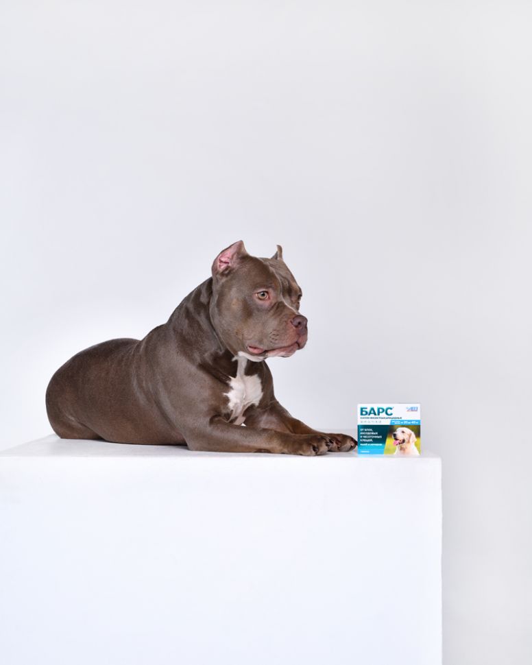 АВЗ: БАРС капли инсектоакарицидные для собак от 20 до 40 кг (1 пип. по 2,68мл)