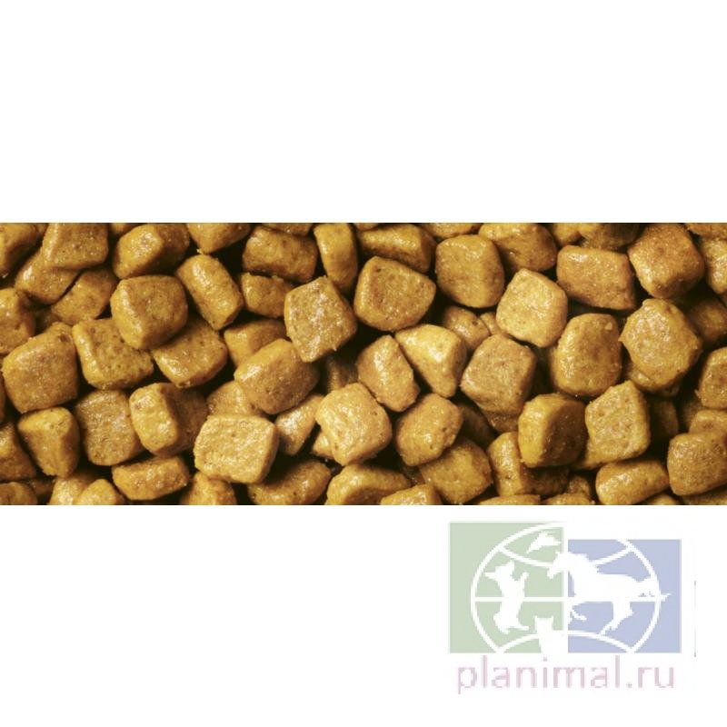 Сухой корм Purina Pro Plan Delicate для кошек с чувствительным пищеварением, индейка, 7 кг