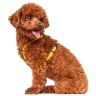 Hunter: шлейка для собак, Tripoli, 37-52 см, нейлон, желтая, светоотражающая