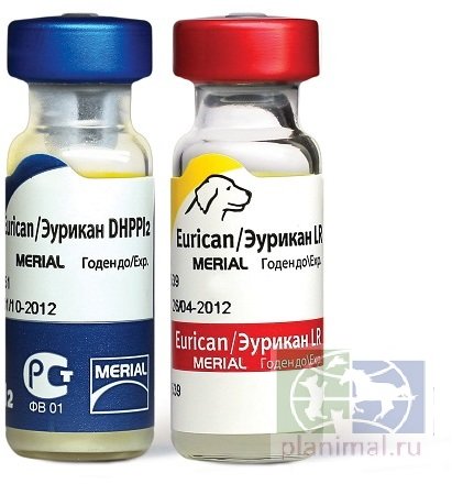 BI: Вакцина Эурикан DHPPi2-LR 2х комп. для собак с 7 нед., 1 доза