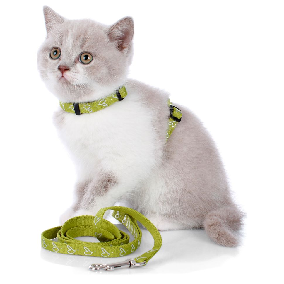 Hunter: by Laura, шлейка для кошек, нейлон, светло-зеленая