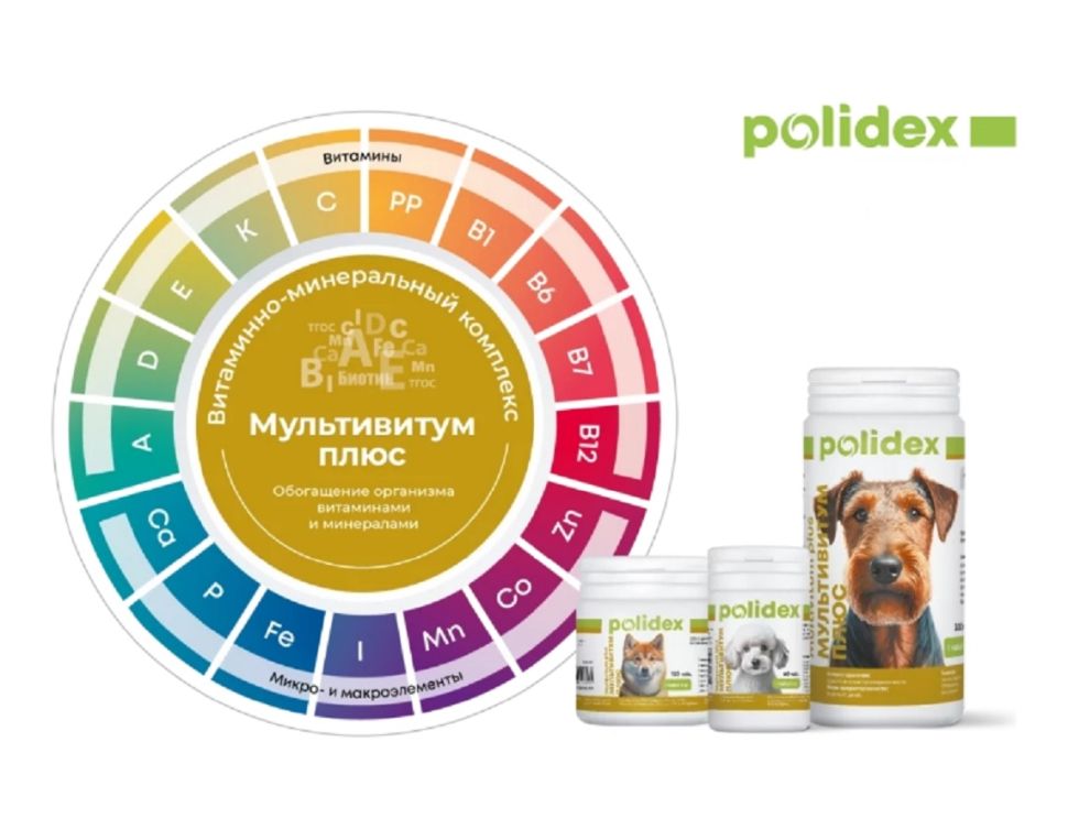 Polidex: Multivitum Plus поливитаминный комплекс для профилактики авитаминоза, для собак, 150 табл.