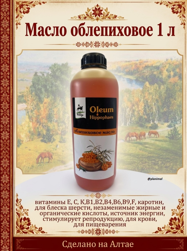 Идальго: Масло облепиховое, 1 л.