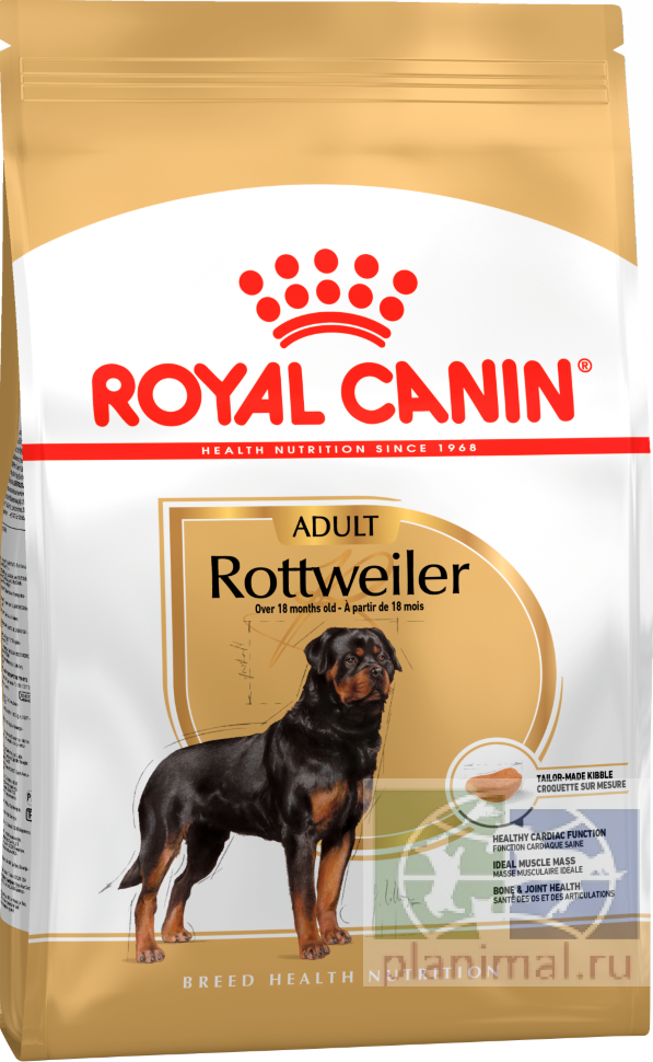 RC Rottweiler Adult Корм для Ротвейлеров старше 18 месяцев, 12 кг