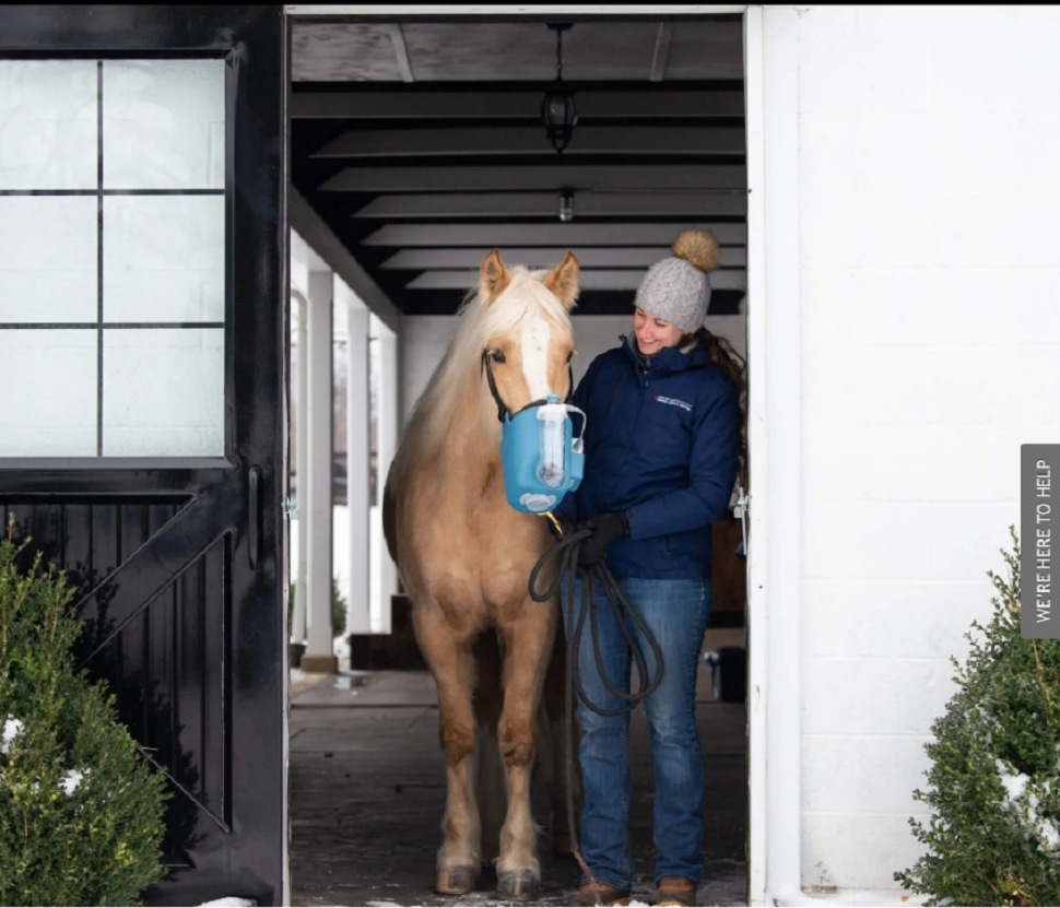 Идальго: Масло эвкалиптовое эфирное натуральное для ингаляций, 100 мл