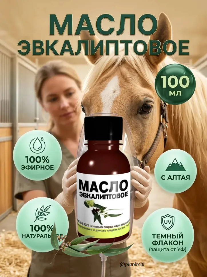 Идальго: Масло эвкалиптовое эфирное натуральное для ингаляций, 100 мл