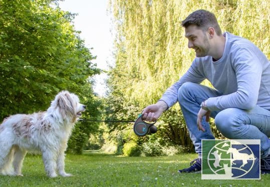 Flexi рулетка Black Design S (до 12 кг) 5 м трос черный/голубой