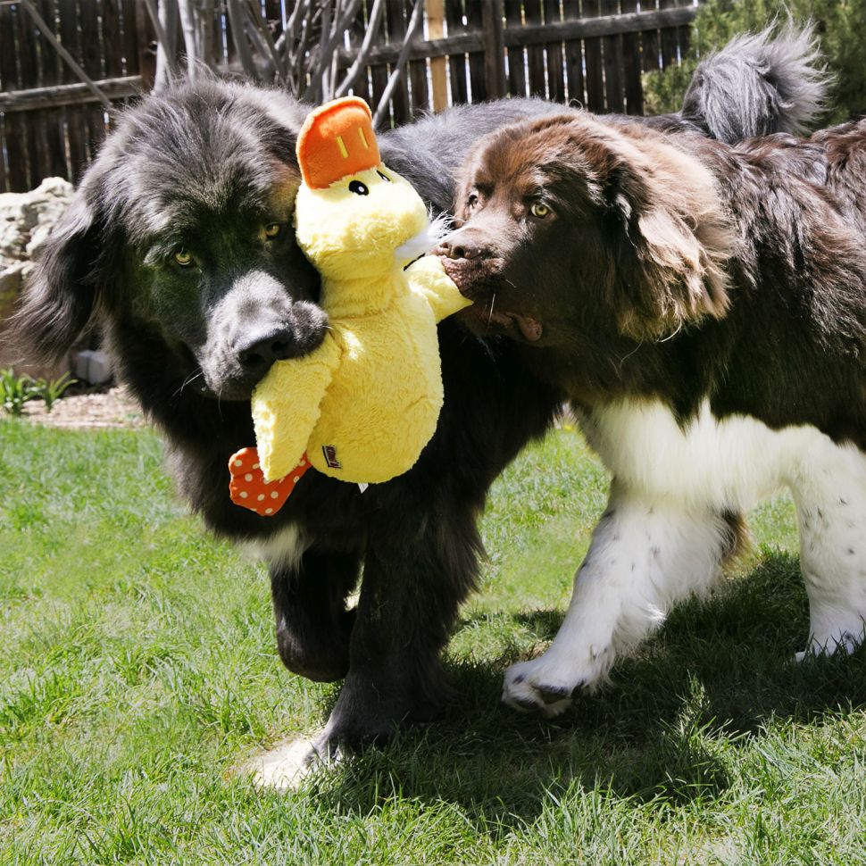 Игрушка KONG Comfort Jumbo для собак, размер  XL, с пищалкой и эффектом хруста, в ассортименте