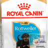 RC Rottweiler Junior Корм для щенков Ротвейлера до 18 месяцев, 12 кг