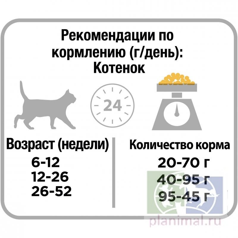 Сухой корм для котят Purina Pro Plan Junior, курица, 1,5 кг
