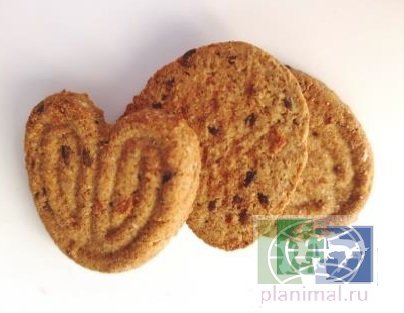 Био-лакомство "Поделись с лошадью" - пробиотическое печенье льняные сердечки с морковкой, 350 гр. зип-пакет
