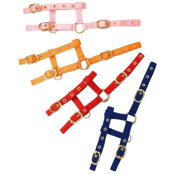 Ekkia: Недоуздок д/жеребят минипони, нейлон, синий. 510033006