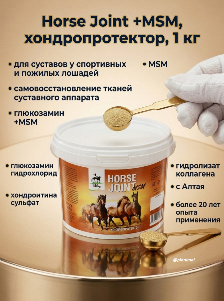Идальго: Horse Joint +MSM, хондропротектор, 1 кг